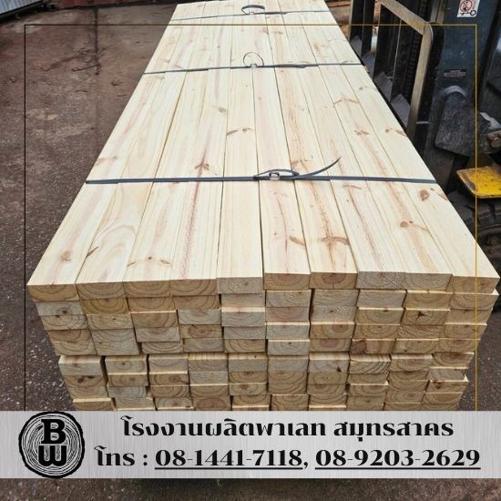 จำหน่ายไม้สนพร้อมตราIPPC สำหรับงานรัดสินค้าในตู้คอนเทนเนอร์ จำหน่ายไม้สนพร้อมตราIPPC สำหรับงานรัดสินค้าในตู้คอนเทนเนอร์